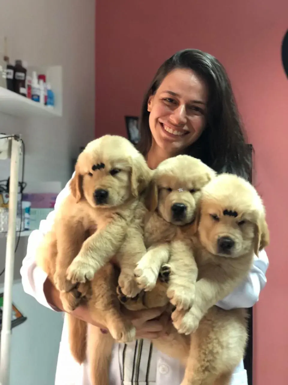 Dra. Mariana Neves sorrindo com três filhotes de golden retriever no colo